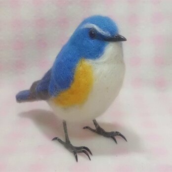 リアル  ルリビタキ 瑠璃鶲 羊毛フェルト　受注作成　ライフサイズ　羊毛インコ　工房小鳥屋さん 野鳥の画像