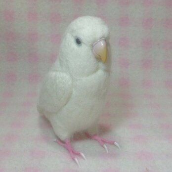 リアルサイズ♪ コザクラインコ アルビノ 濃赤目　羊毛フェルト　受注作成　羊毛インコ　メモリアル　リアル　うちの子オーダー可能の画像