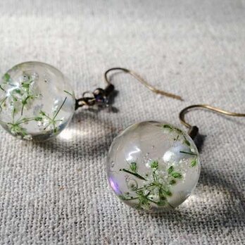 Botanical Jewelry   ワイルドレースフラワー　フックピアスの画像