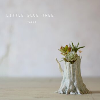 Little blue tree (tall)の画像