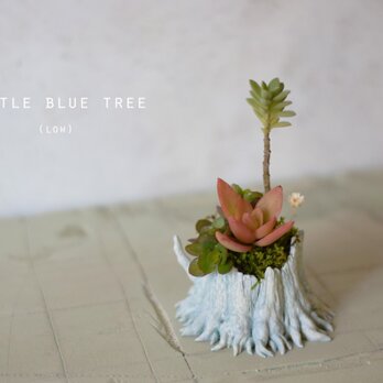 Little blue tree (fallen)の画像