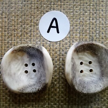 鹿角ボタン4穴25㎜2個セットの画像