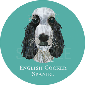 イングリッシュ コッカー スパニエル／ブルーローン《犬種名ステッカー/小型犬》の画像
