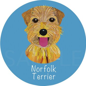 ノーフォーク テリア《犬種名ステッカー/小型犬》の画像