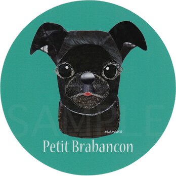 プチ ブラバンソン／黒《犬種名ステッカー/小型犬》の画像