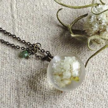 Botanical jewelry  山母子　ネックレスの画像