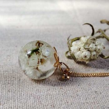 Botanical jewelry  山母子　スライドボール付きゴールドチェーンネックレスの画像