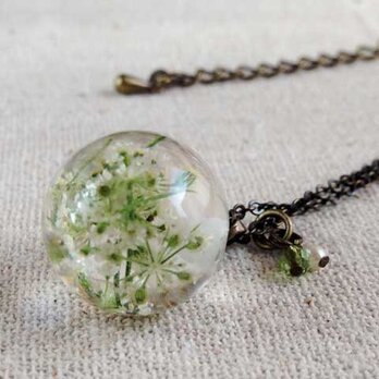 Botanical Jewelry   ワイルドレースフラワー　ネックレスの画像