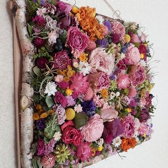 atelier BLUGRA八ヶ岳〜春小花の壁掛けフレーム01の画像