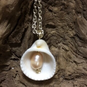 貝と淡水パールのネックレス