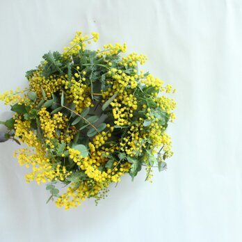 ミモザとユーカリのリース