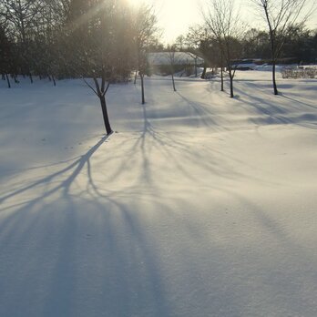 Ｕ様ご注文品＊