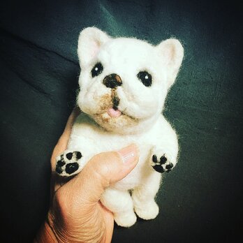 オーダー羊毛フェルト 愛犬・愛猫　立ちポーズの画像