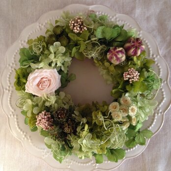 1輪バラのgreen wreathの画像