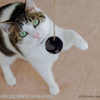 猫戯玉－cat the ball－ひとつぶ　【黒ごまプリン ニクキュー/29ver】の画像