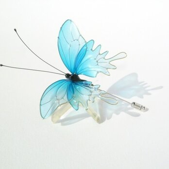 蝶ハットピン－Blue butterfly－の画像