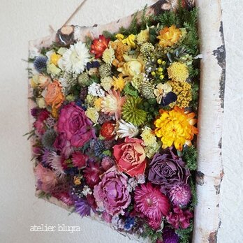 atelier BLUGRA八ヶ岳〜春小花の壁掛けフレーム06の画像