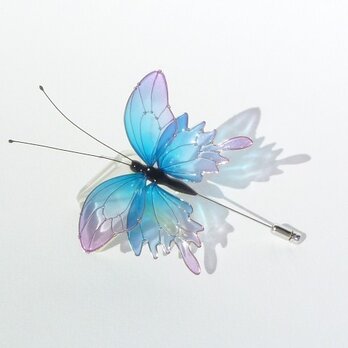 蝶ハットピン－Iridescent butterfly－の画像