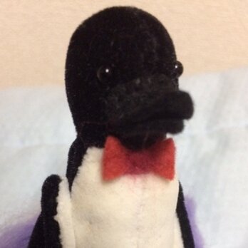 ペンギンさんの画像