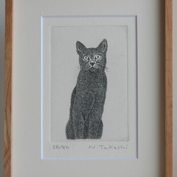 黒い猫・2009/銅版画 (額あり）の画像