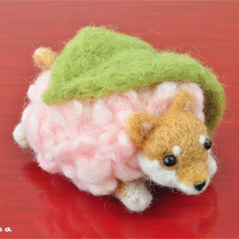 羊毛フェルトの桜餅わんこ 柴犬の画像