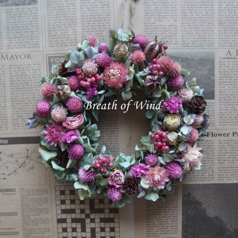 ＰＯＰなリース第２弾