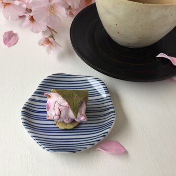 桜餅みたいな猫さん