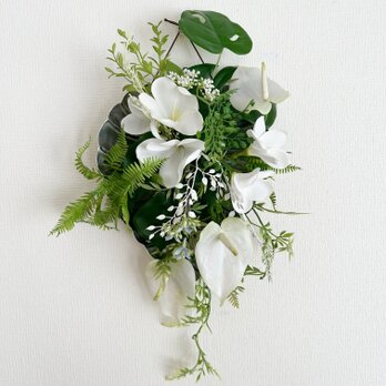 Plumeria Green hanging IV
