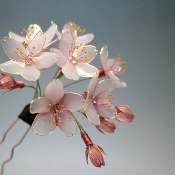 桜の簪(かんざし)  -光降る朝-の画像