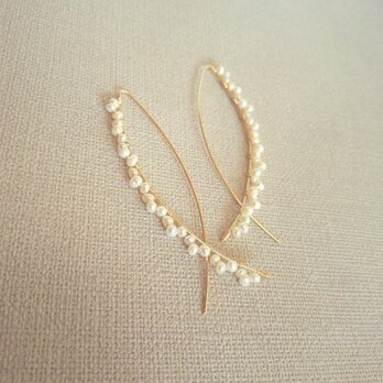 14kgf【jewelry series】frill pearlの画像