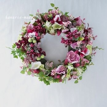(再）pink purple berry wreath：紫陽花 とｱｽﾄﾗﾝﾃｨｱの画像