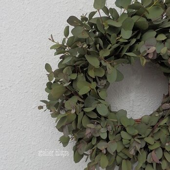 atelier BLUGRA八ヶ岳〜EucalyptusWreath3の画像