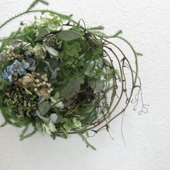 鳥の巣wreath-spring-の画像