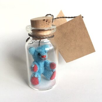 2017年3月5日 Bottled Bearの画像