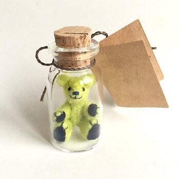 2017年3月7日 Bottled Bearの画像