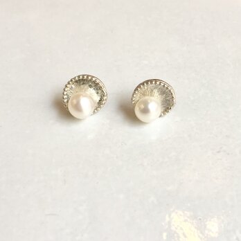 シンプル silver　パールピアス　本真珠（小）