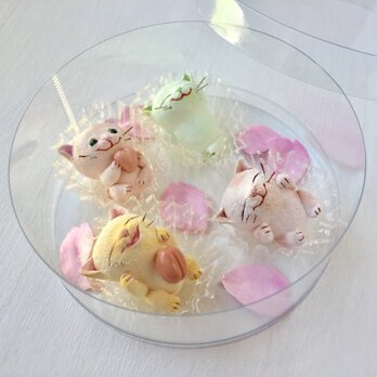 春のお菓子な猫さんセットの画像