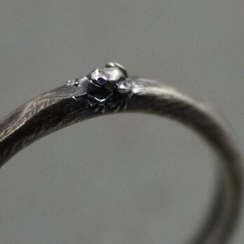 よく見たらカエルリング　～アマガエルバージョン～　たぶん世界で一番小さい蛙の指輪の画像