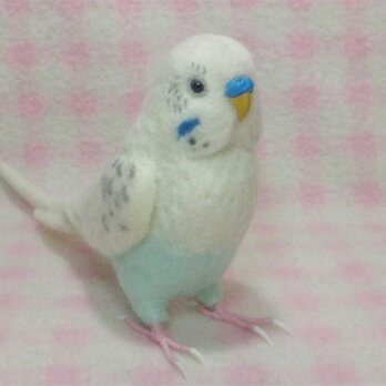 リアルサイズ♪ セキセイインコ 白ハルクイン系 羊毛フェルト ★鼻の色変更可能　受注作成　羊毛インコ　羊毛フェルトの画像