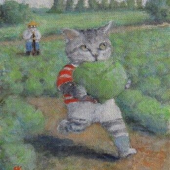 キャベツ畑のねこ（Sold out）の画像