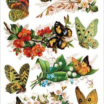 USAヴィクトリアンシール 蝶と花々   DA-VS016の画像