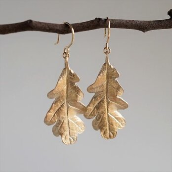 Oak leaf earrings [EP053K10]の画像