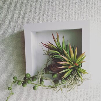 フレームのインテリア❤︎母の日【造花】壁掛け観葉植物の画像