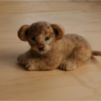 Baby Lionの画像
