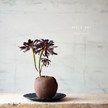 apple pot　(red rust)の画像