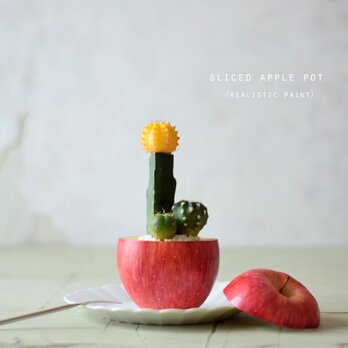 sliced　apple pot　(realistic paint）サボテンの画像