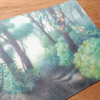 送料無料★色鉛筆画ポストカード3枚セットの画像