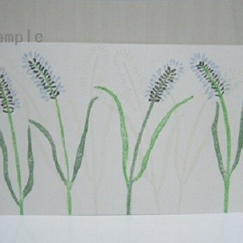 葉書〈チカラシバ－1〉