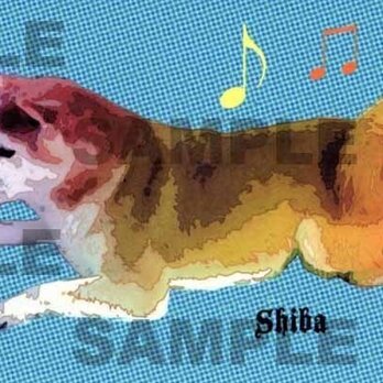 柴犬のイラストポストカード/同柄２枚組の画像
