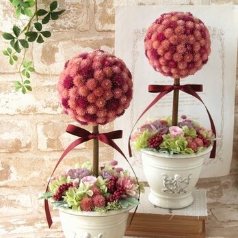 千日紅のトピアリー（サーモンP＆パープル）【ドライ・プリザーブドフラワー】【お祝い　ギフト】